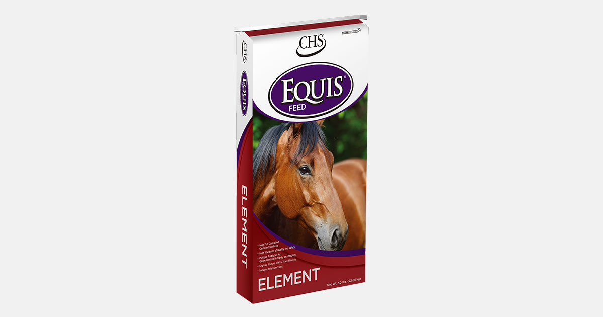 Equis Element horse feed bag Equis Element horse feed bag