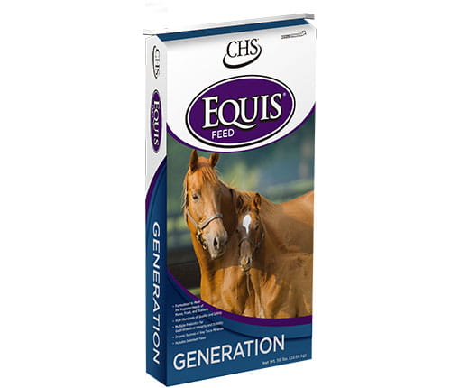 Equis Generation horse feed bag Equis Generation horse feed bag