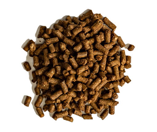 Equis Generation horse feed pellets Pile of Equis Generation horse feed pellets