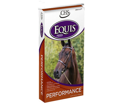 Equis Performance horse feed bag Equis Performance horse feed bag