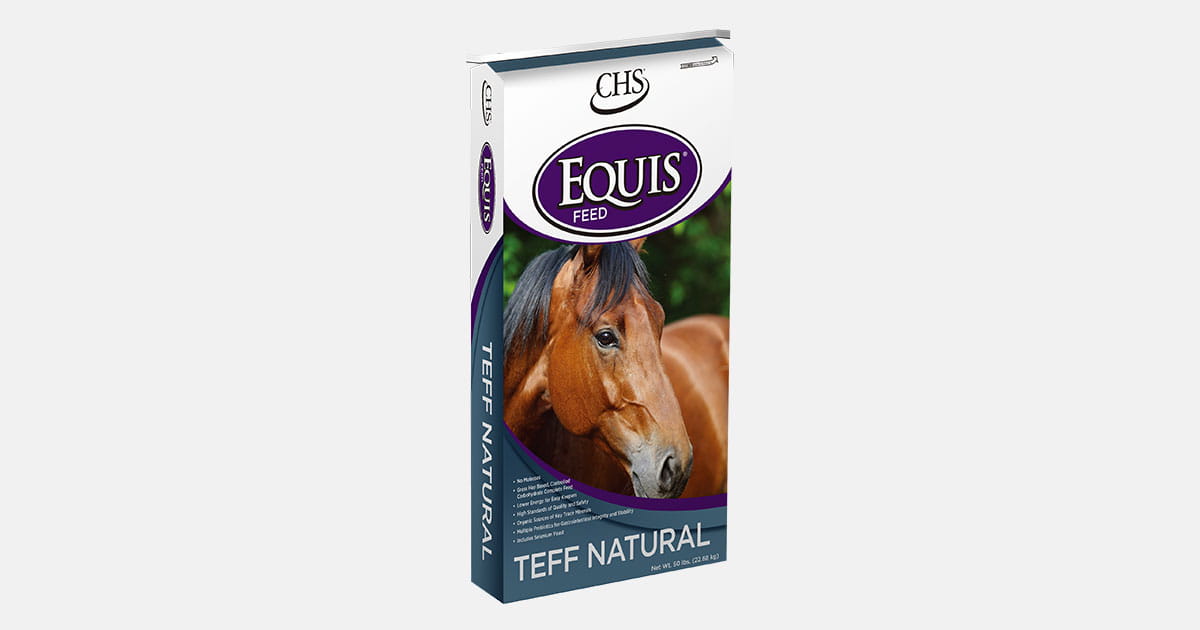 Equis Teff Natural horse feed bag Equis Teff Natural horse feed bag