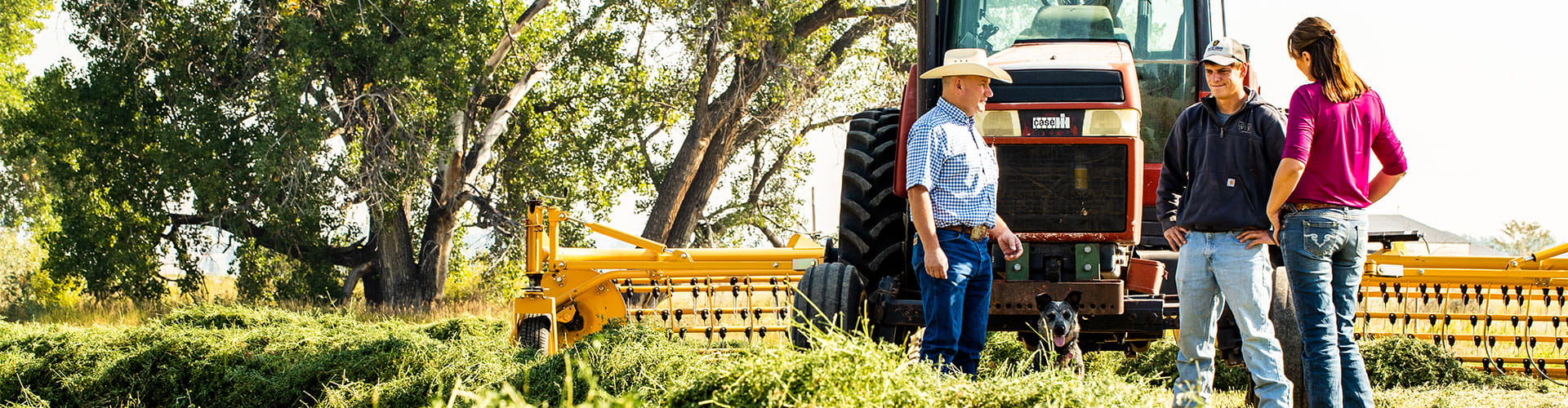 Payback nutritionist and dealer speaking with a producer by a tractor