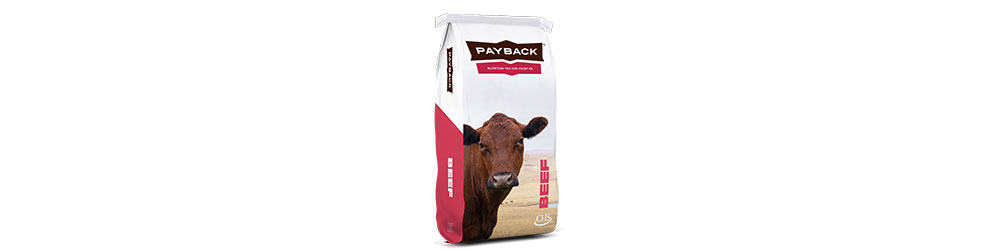 Payback beef product bag
