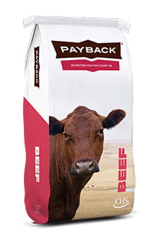 Payback beef product bag