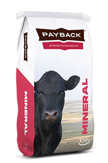 Payback beef mineral bag