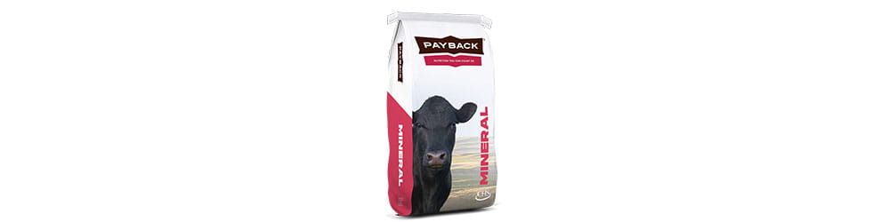 Payback beef mineral bag