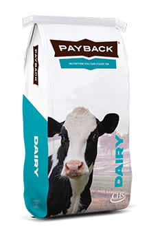 Payback dairy product bag