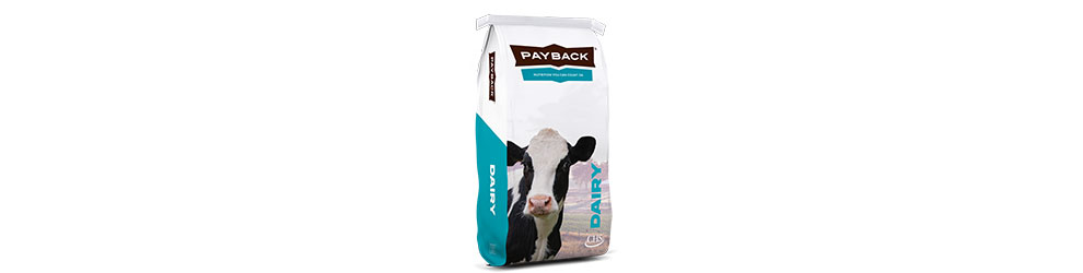payback-dairy-bag-small