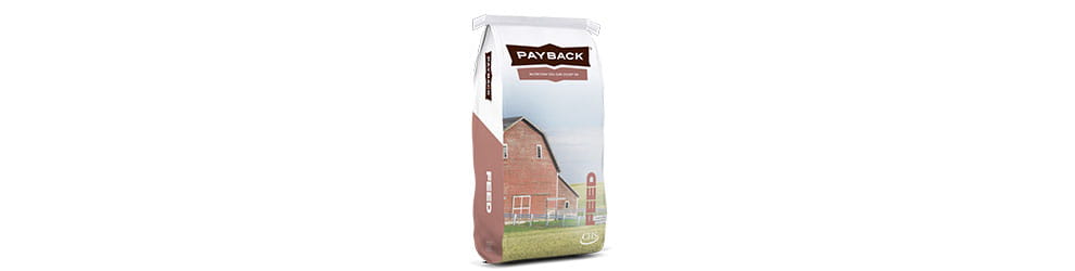 payback-universal-bag-small