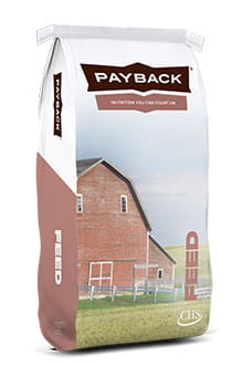 Payback Universal bag