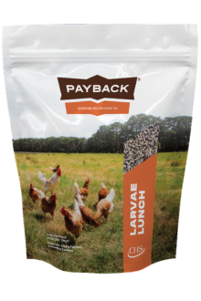Payback Larvae Lunch treat bag