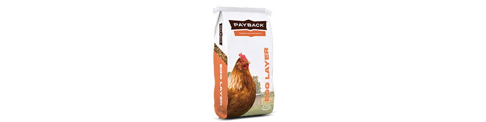 Payback Egg Layer bag