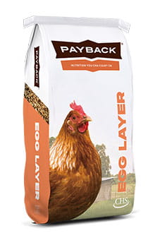 Payback Egg Layer product bag
