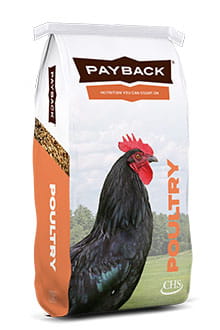 Payback Poultry bag