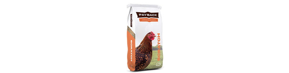 Payback Scratch bag
