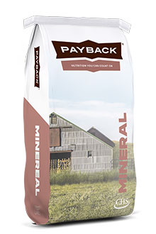 Payback mineral bag