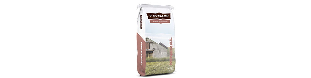 Payback mineral bag