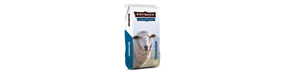 payback-sheep-bag-small