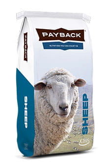 Payback sheep product bag