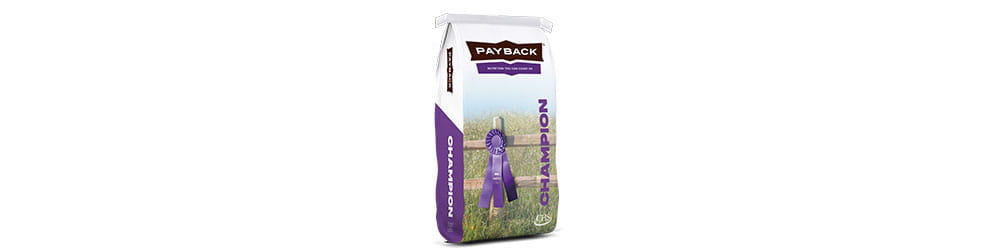 payback-champion-bag-small