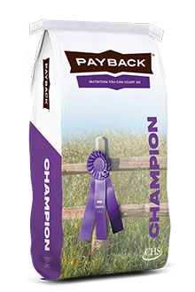 Payback champion product bag