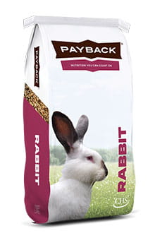 Payback rabbit product bag