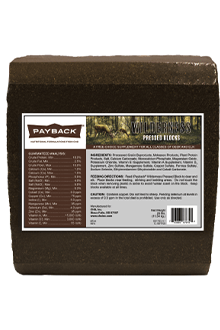 Payback Wilderness Block