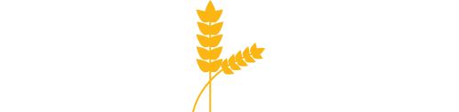 Yellow barley icon