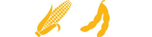 Yellow corn and soybean icons
