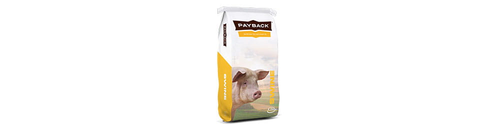 Payback Swine bag