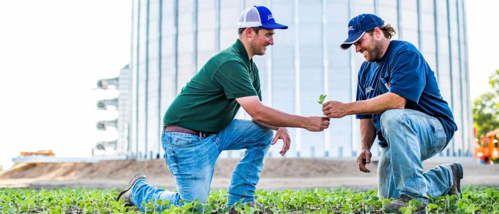two agronomists in a field talking