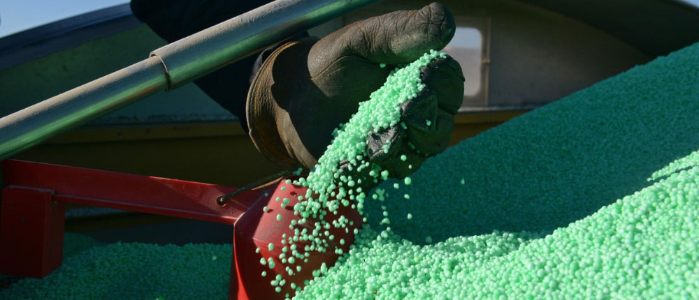 a hand with fertilizer in it