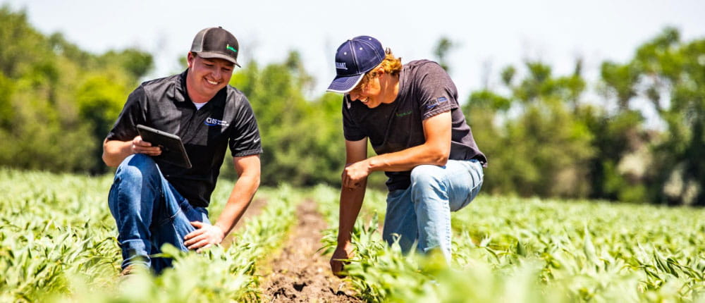 two agronomists in field talking