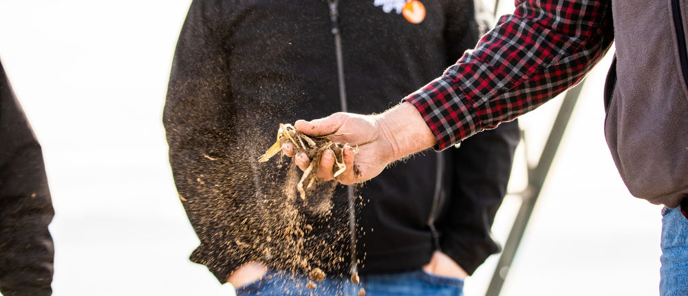 hand holding soil
