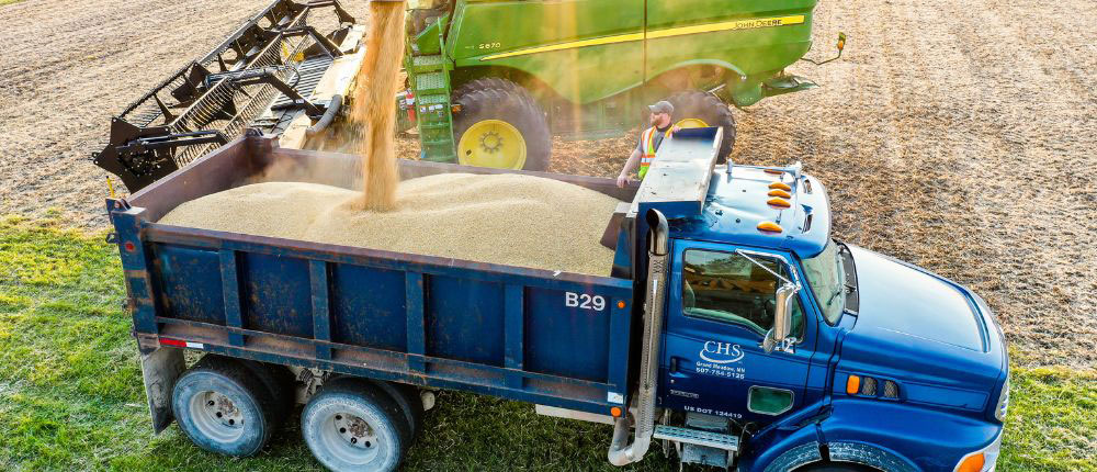 grain being dumped in a grain truck