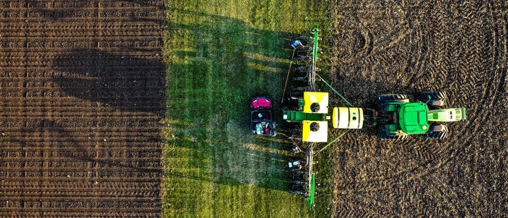 planter in field