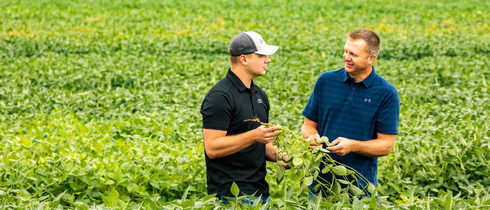 agronomist and farmers talking in a field