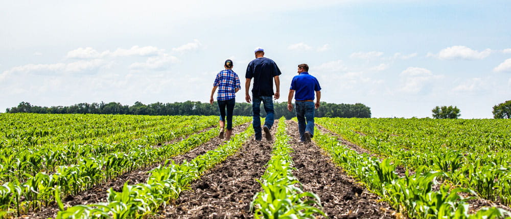 agronomists walking in a field