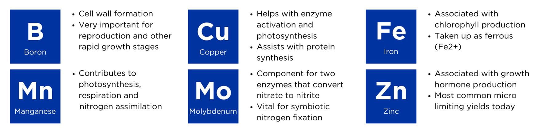 chart of micronutrients