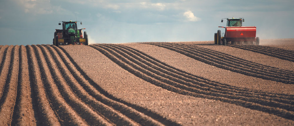 Harvesting a field