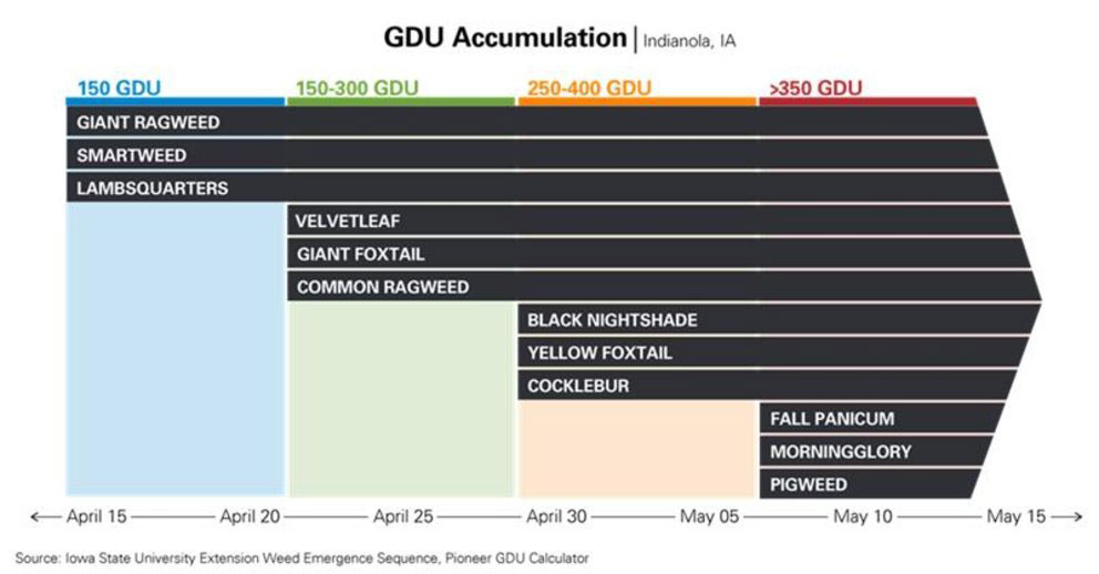 GDU accumulation