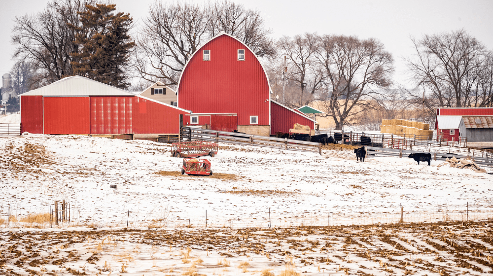 Snowy farm with red barn and livestock