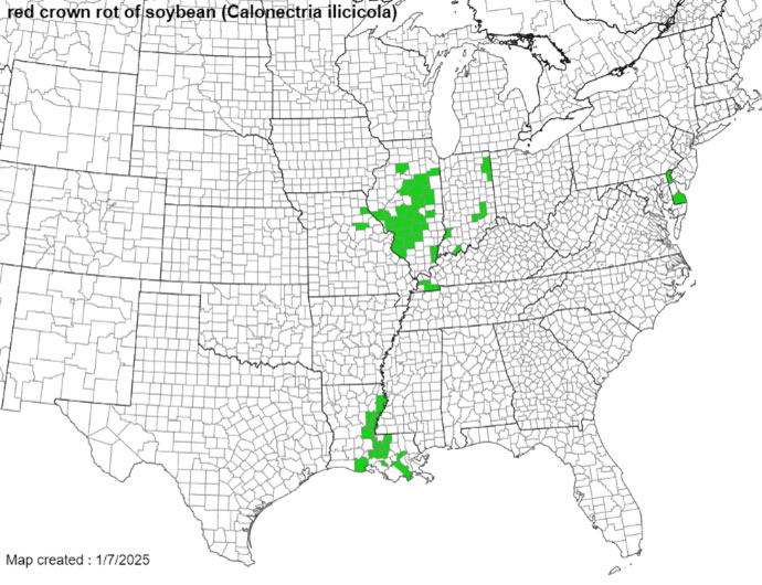 Map of the United States showing the spread of red crown rot