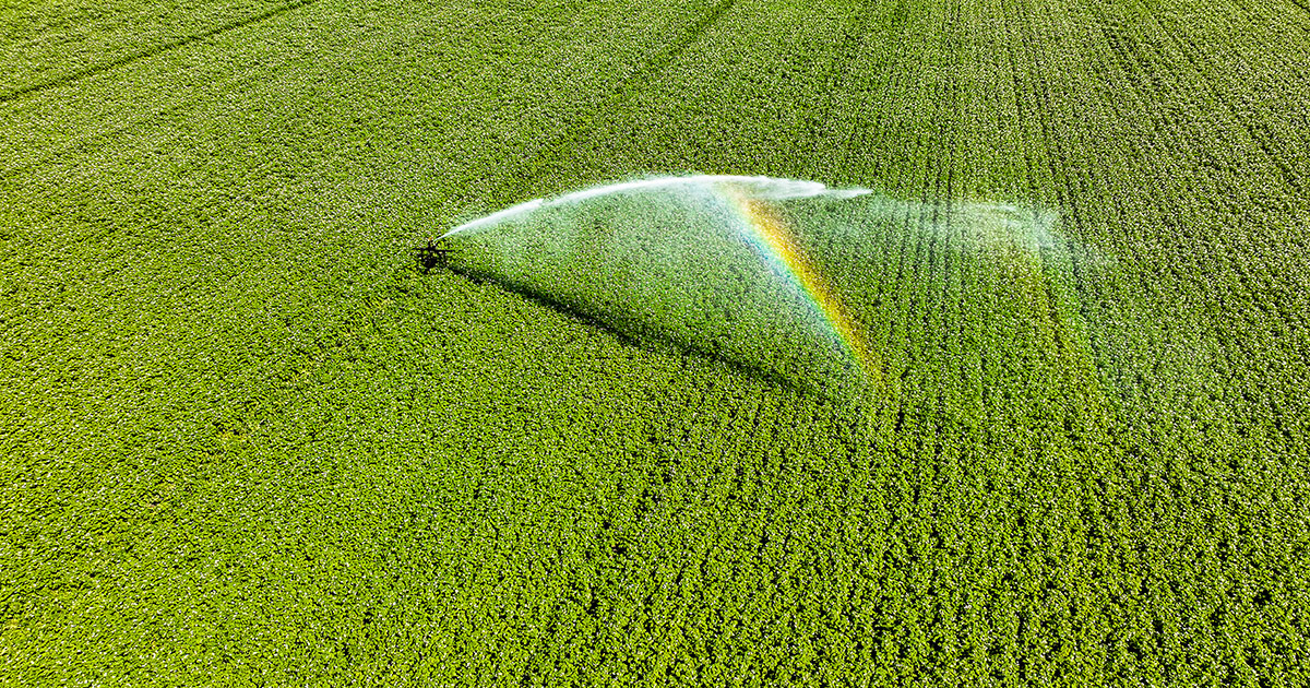 A field getting irrigated.
