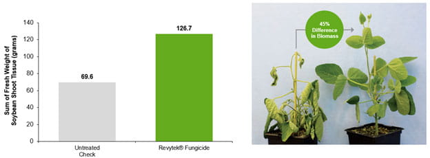 Revytek® fungicide-treated plants chart