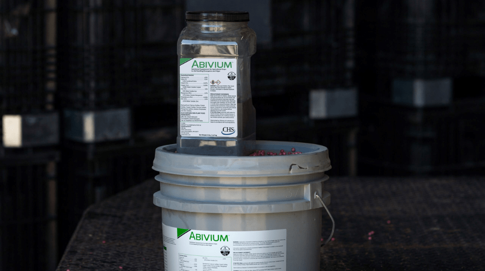 Abivium containers
