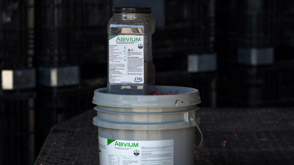 Abivium containers