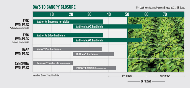 Days to canopy closure diagram