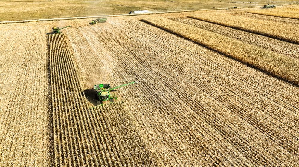 Aerial image of corn being harvested in a field. 