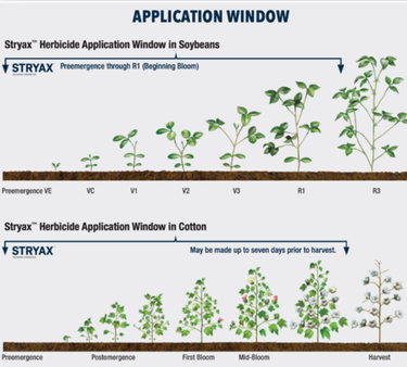 Stryax application window